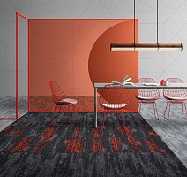 Shared Path на акустической основе Echo Acoustic 989 фото 3 | FLOORDEALER